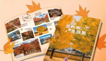 釜山梵魚寺秋季紅葉寺廟