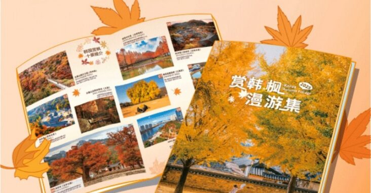 釜山梵魚寺秋季紅葉寺廟