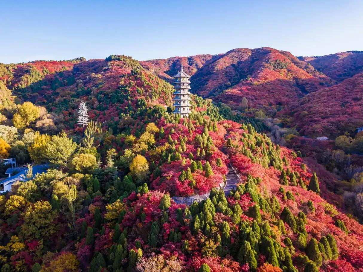 北京香山紅葉
