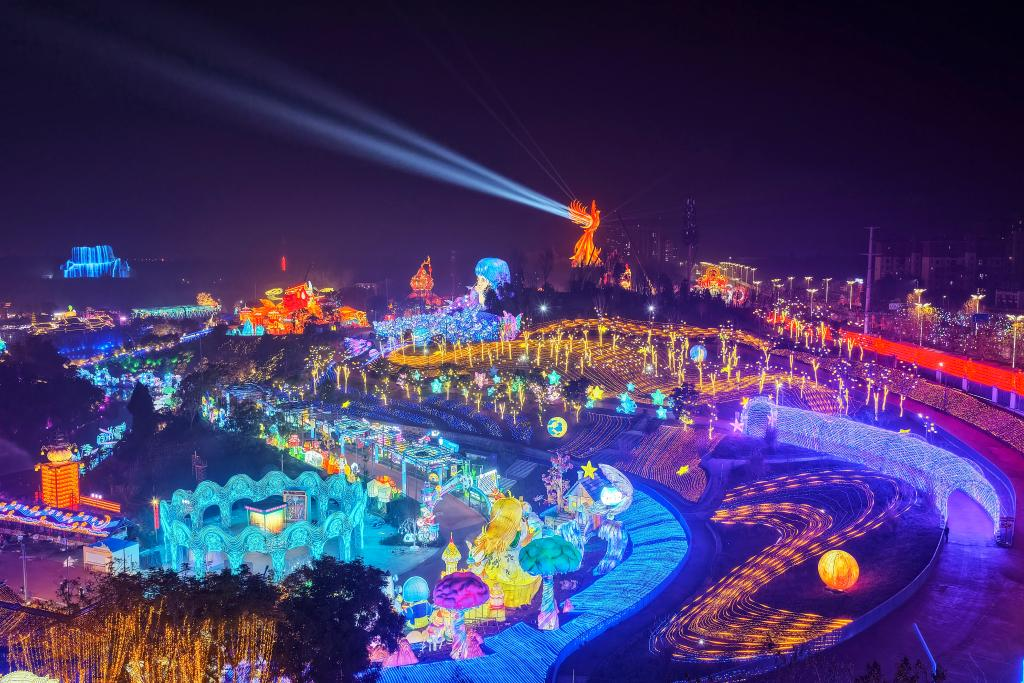自貢燈會夜景燈組2