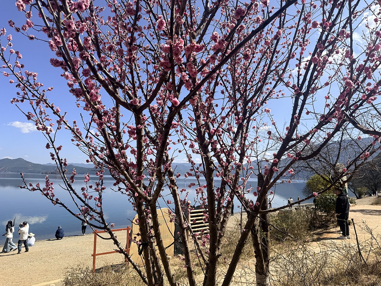 瀘沽湖 - Lover's Beach, Lugu Lake Scenic Area, Yunnan 02