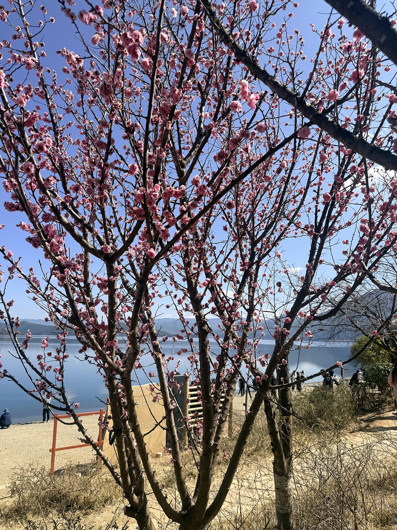 瀘沽湖 - Lover's Beach, Lugu Lake Scenic Area, Yunnan 03