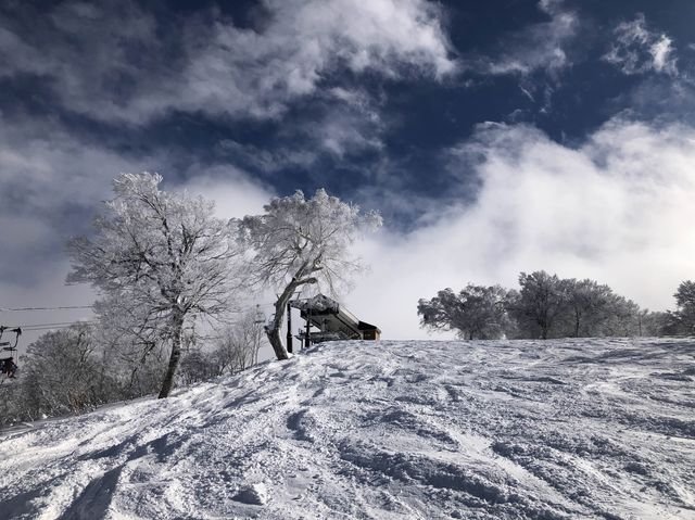 nozawa