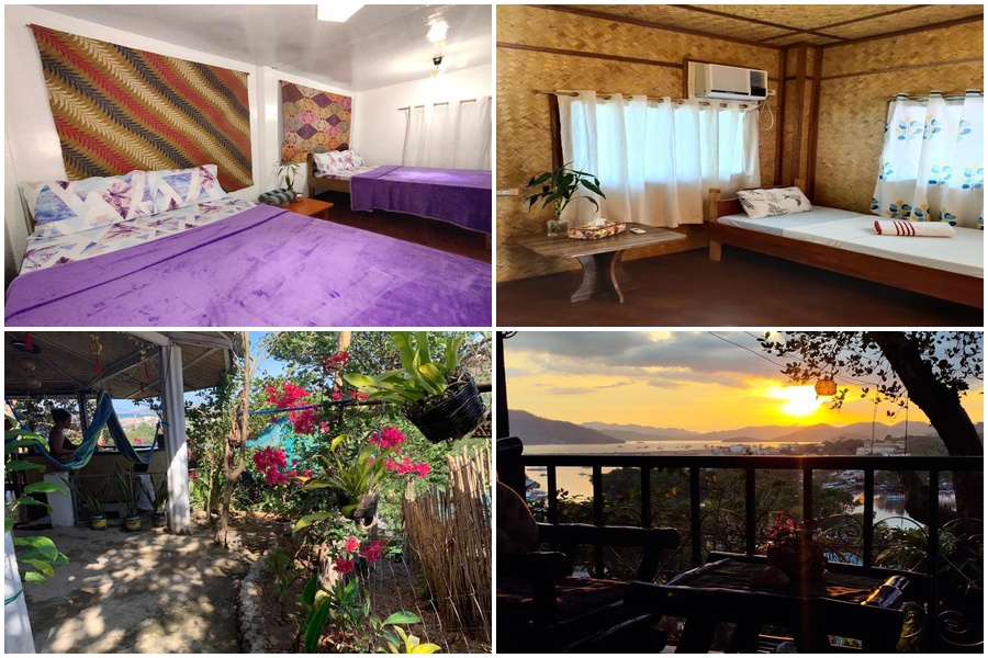 Purple Homestay
