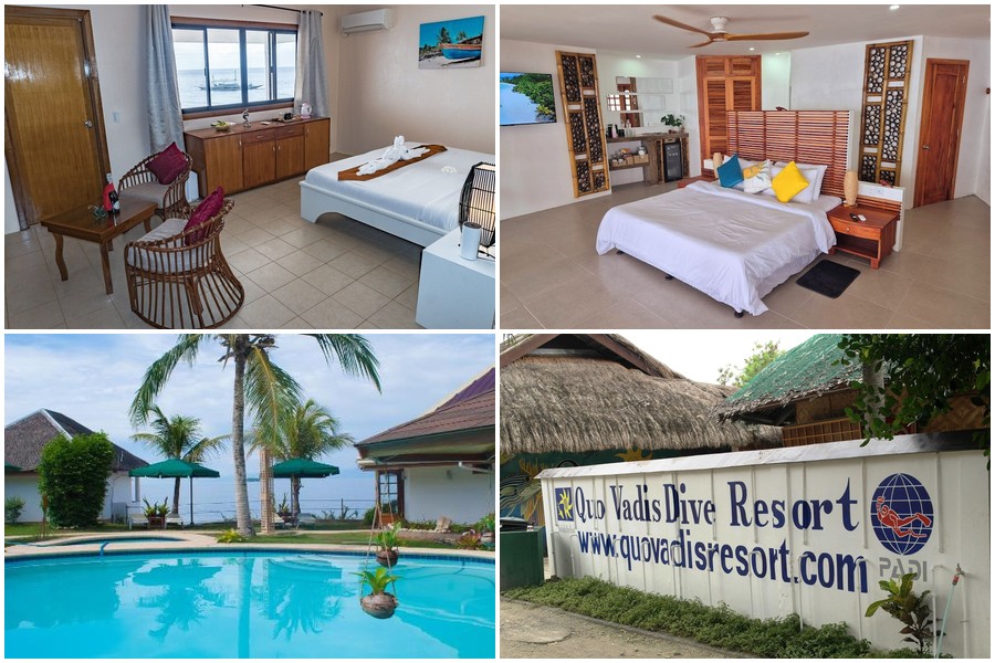 Quo Vadis Dive Resort 海灘景觀
