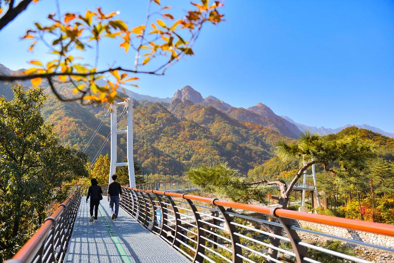 雪嶽山秋季步道紅葉