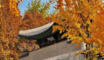 景福宮秋季紅葉映照古建築