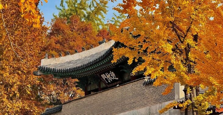 景福宮秋季紅葉映照古建築