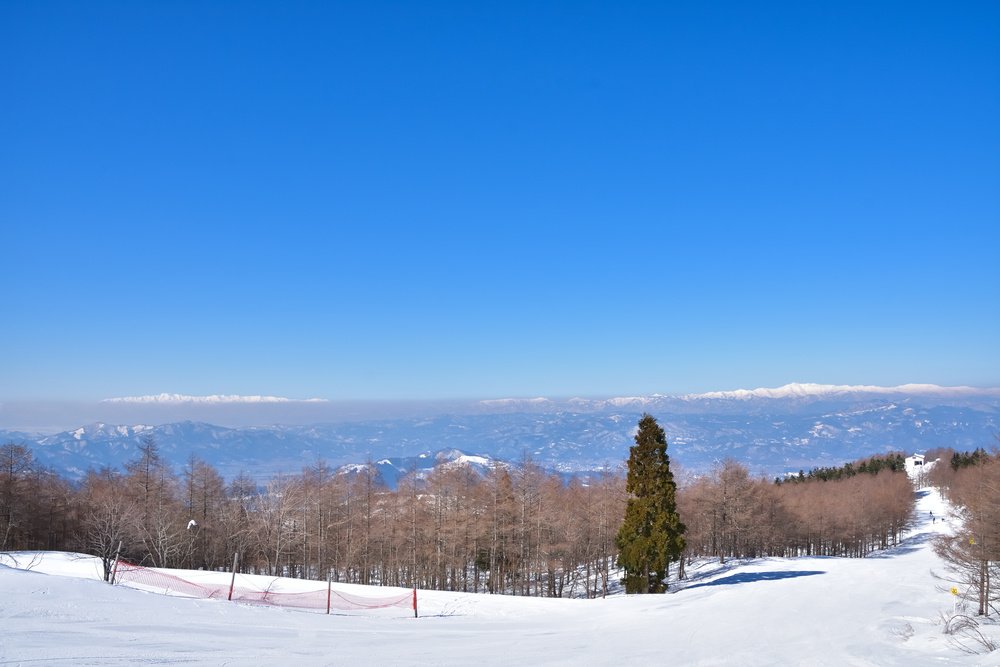 shichikashuku