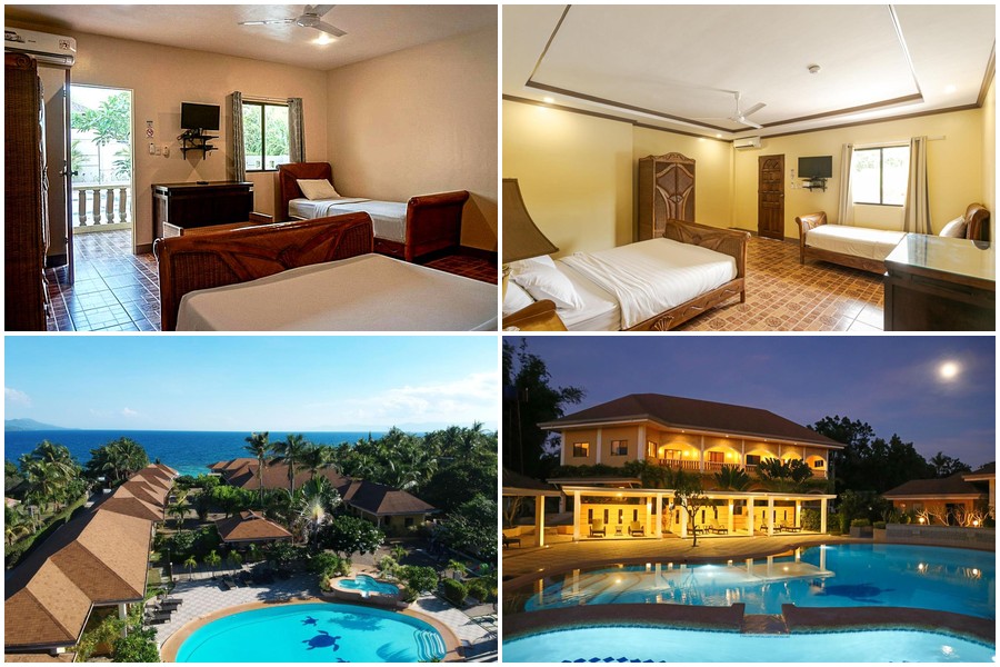 Turtle Bay Dive Resort 泳池與海龜圖案