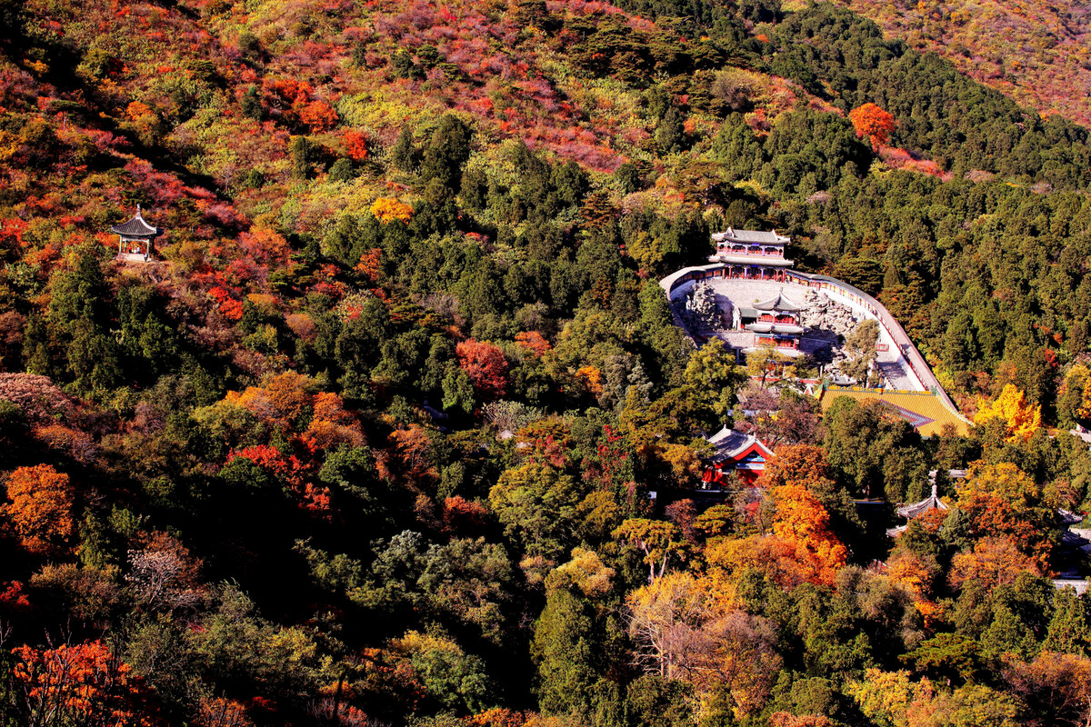 北京秋天雙色攻略：香山紅葉10景+釣魚台銀杏大道，台灣直飛3.5hr賞秋全指南 @Tournews