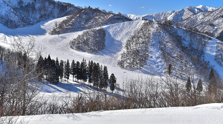 新潟滑雪體驗攻略|越後湯澤6大滑雪場+住宿推薦(2026-2027) 新潟滑雪體驗攻略|越後湯澤6大滑雪場+住宿推薦(2026-2027)
