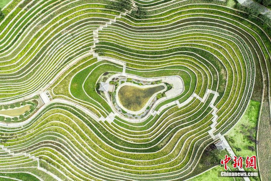 2026 大方旅遊攻略｜大地指紋音樂會、九洞天、支嘎阿魯湖一次玩遍 @Tournews