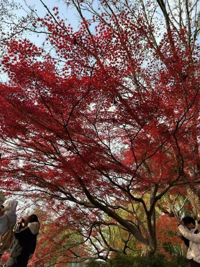欽州住宿推薦:10間靠北部灣、近海鮮市場的欽州飯店(2026平陸運河通海版) @Tournews