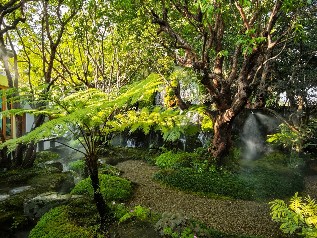 CHOM Cafe 花園碎石小徑與巨型樹蕨,背景為瀑布與水霧