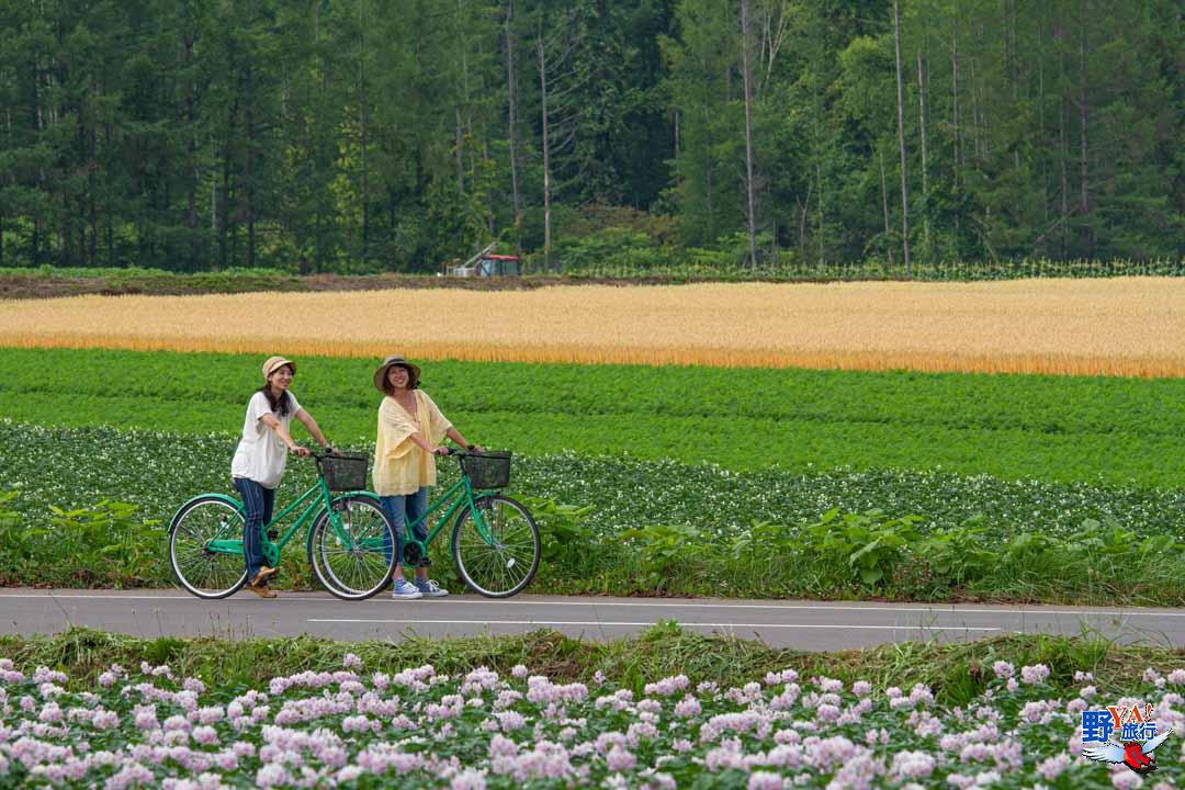 北海道自駕環線攻略｜札幌・新雪谷・洞爺湖・函館 5&ndash;6天行程 @Tournews