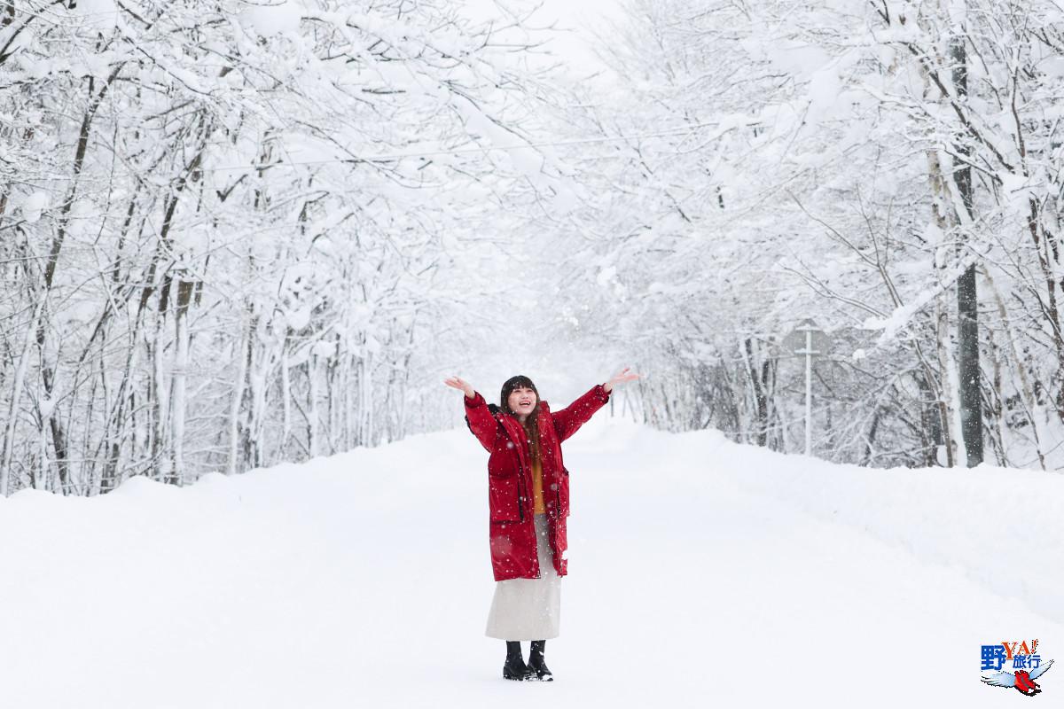 北海道自駕環線攻略｜札幌・新雪谷・洞爺湖・函館 5&ndash;6天行程 @Tournews