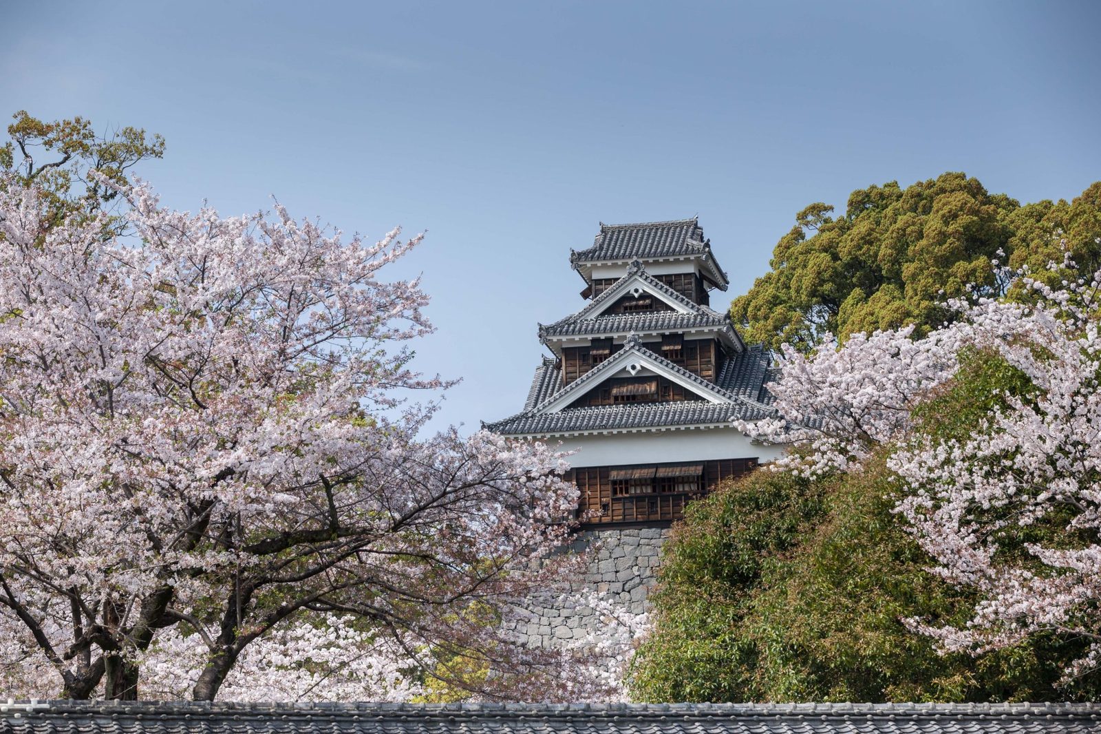 熊本城