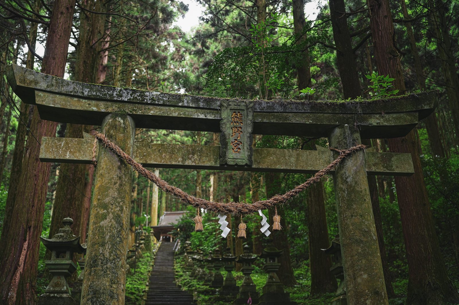 上色見熊野座神社青苔石鳥居