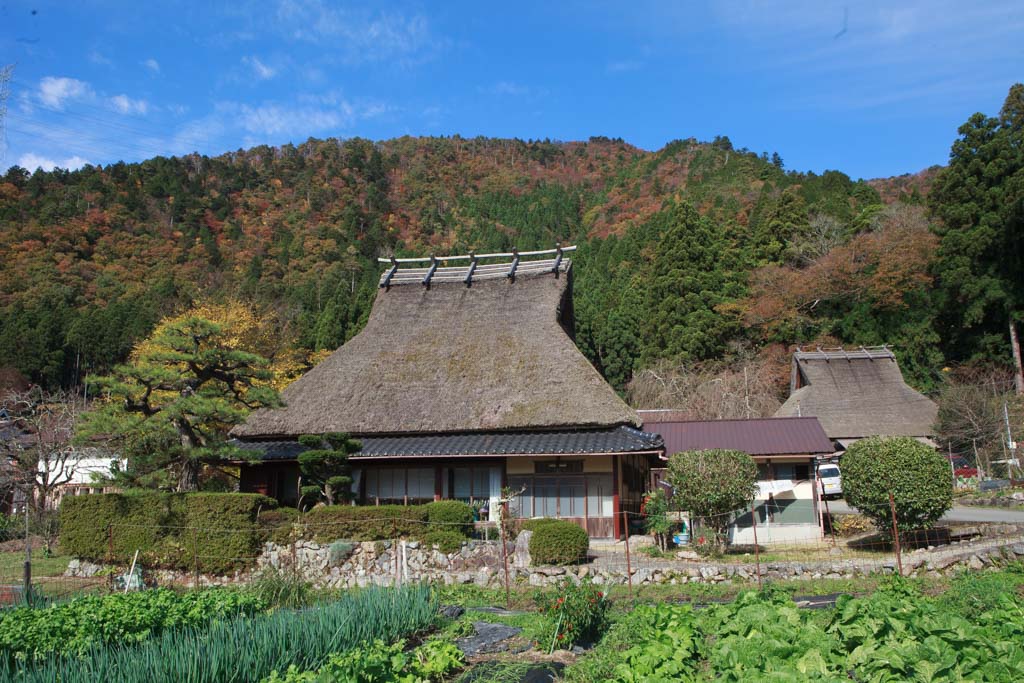 京都→美山→瑞穗→天橋立自駕攻略|2天1夜茅草屋×日本海×溫泉深度遊 @Tournews